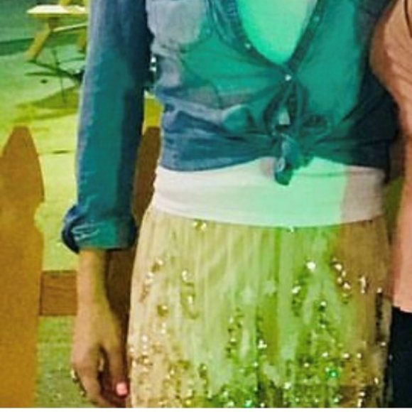 Champaign Chiffon Sequin Skirt - Picture 2 of 4